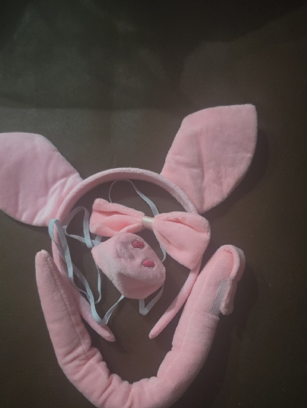Pink Pig Costume Accessory Set - Picture 7 of 11